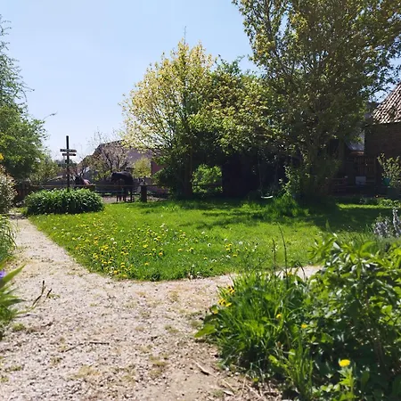 A L'ombre Du Laurier