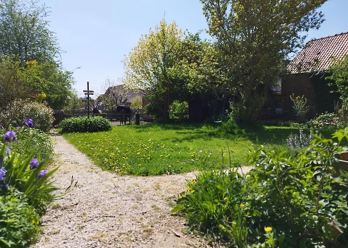 A L'ombre Du Laurier