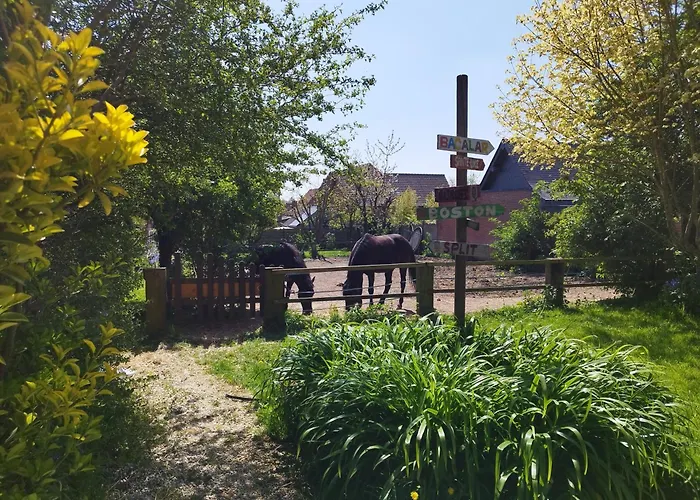 A L'ombre Du Laurier בית נופש *